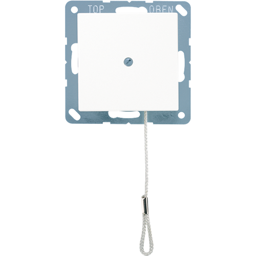 jung A506BFN trekschakelaar 10a 250V