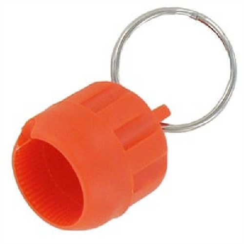 herz 1681998 inregelsleutel oranje