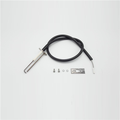 remeha 7774699 ontsteekpen gas 610eco pro