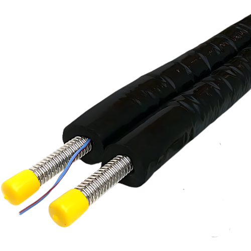 dyn 100581 rvs flex duo DN25 15mtr