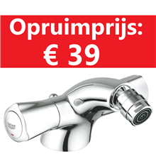 grohe 24032000 avina tweegreeps bidetkraan