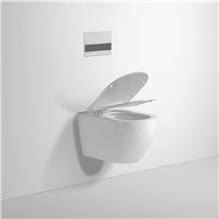 dyn 100119 royal flush wcl-pack + sc qr zitt. 53cm