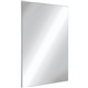delabie 3458 rvs spiegel onbreekbaar h585x485x10mm