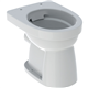 geberit 501980001 vlaksp. cl pot 300 rimfree PK