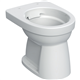 geberit 501981001 vlaksp. cl pot 300 rimfree AO