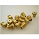 vaillant 291208 branderinspuiter (14 st.), mag 2
